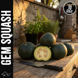 Gem squash available to buy in the UK from Weston Biltong Company