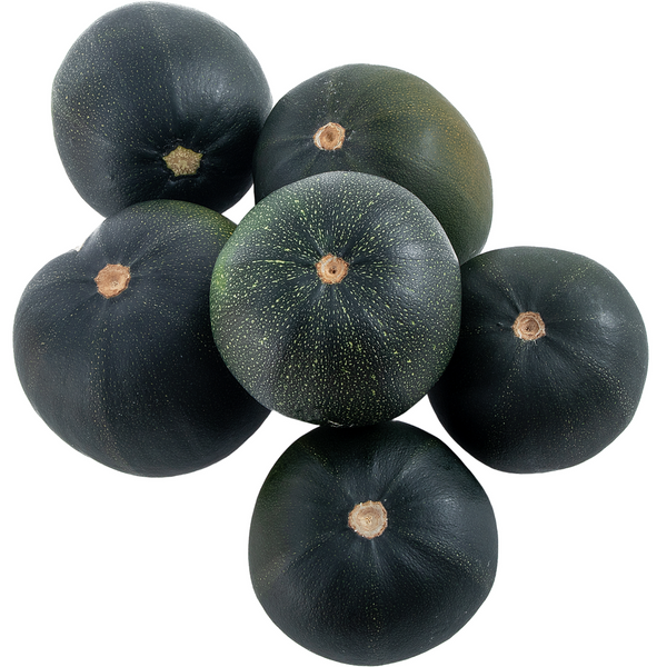 Gem Squash