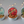Funky Ouma Travel Tin set of 3 Seasoning Salts